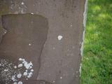 image of grave number 796891